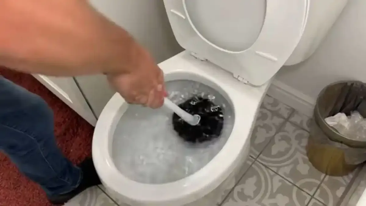 Hand using a plunger in a toilet bowl
